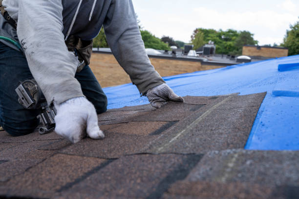 Best Roof Waterproofing Services  in Wren, AR