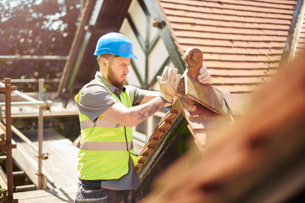 Best Roof Gutter Cleaning  in Wren, AR