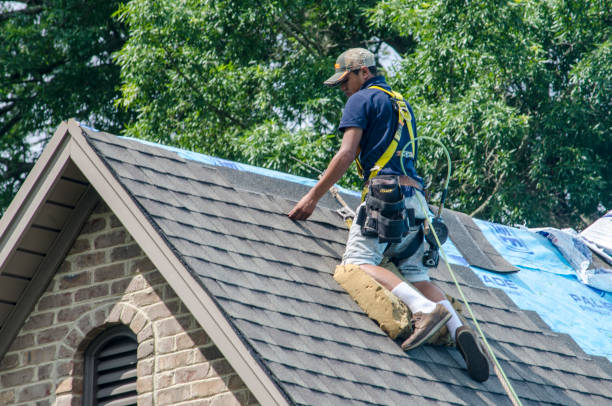 Reliable Warren, AR Roofing Contractor Solutions